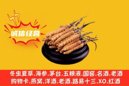 喀什麦盖提县回收冬虫夏草
